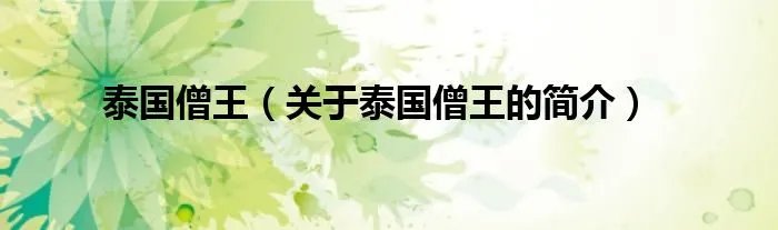 泰国僧王（关于泰国僧王的简介）