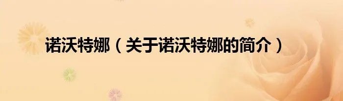 诺沃特娜（关于诺沃特娜的简介）