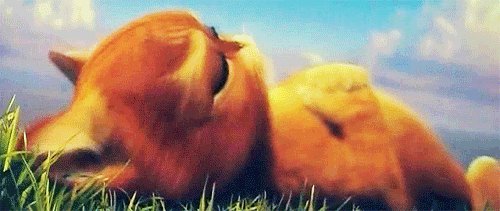 呆呆傻傻小萌货 盘点欧美动画电影十大卖萌角色