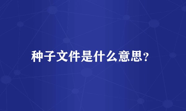 种子文件是什么意思？