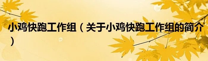 小鸡快跑工作组（关于小鸡快跑工作组的简介）