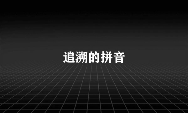 追溯的拼音