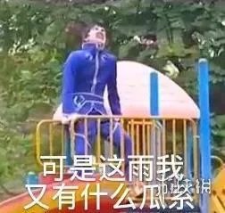 雨女无瓜是什么意思 游乐王子雨女无瓜是什么梗表情包大全汇总