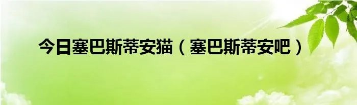 今日塞巴斯蒂安猫（塞巴斯蒂安吧）