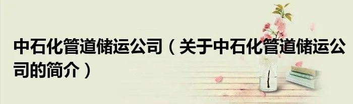 中石化管道储运公司（关于中石化管道储运公司的简介）