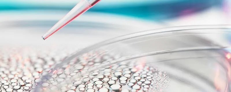二氯甲烷沸点 二氯甲烷的沸点是多少