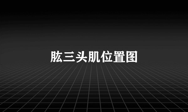 肱三头肌位置图