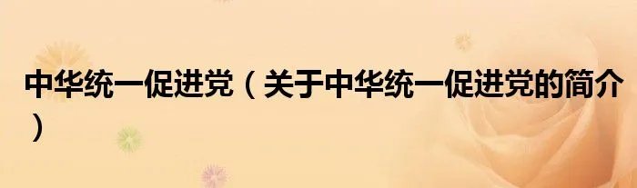 中华统一促进党（关于中华统一促进党的简介）