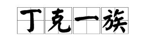 丁克一族是什么意思?