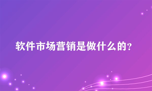 软件市场营销是做什么的？