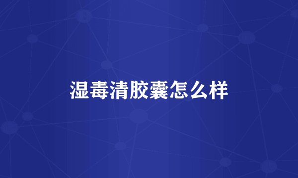 湿毒清胶囊怎么样