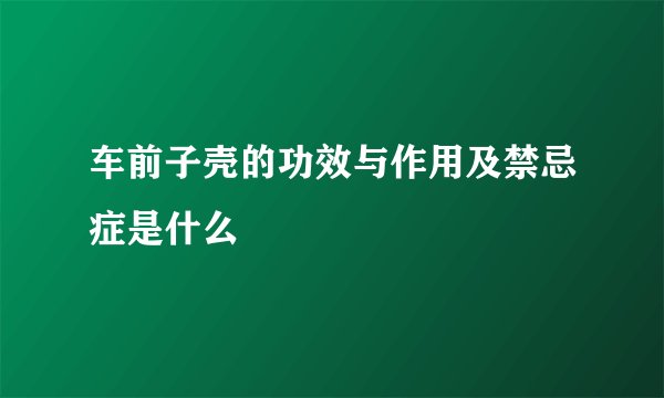 车前子壳的功效与作用及禁忌症是什么