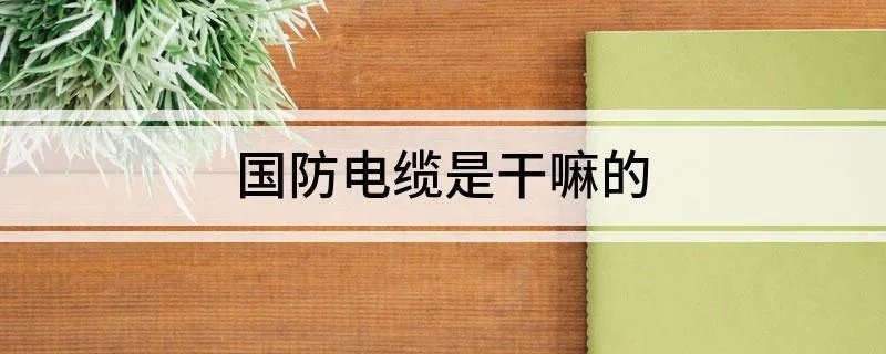 国防电缆是干嘛的