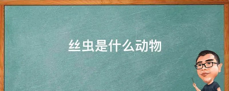 丝虫是什么动物