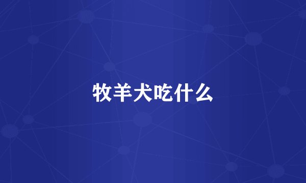牧羊犬吃什么