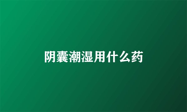 阴囊潮湿用什么药