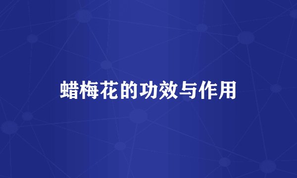 蜡梅花的功效与作用