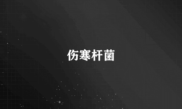 伤寒杆菌