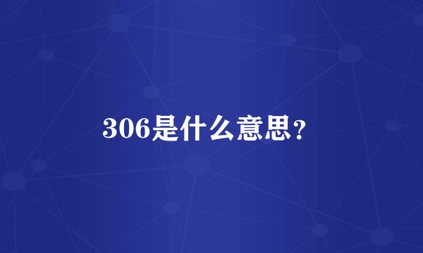 306是什么意思？