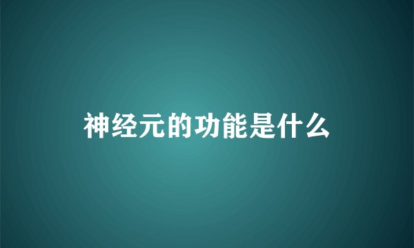 神经元的功能是什么