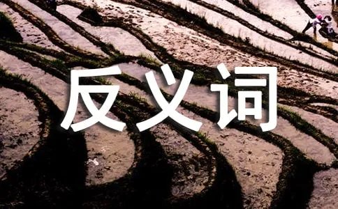 矜持的反义词是什么