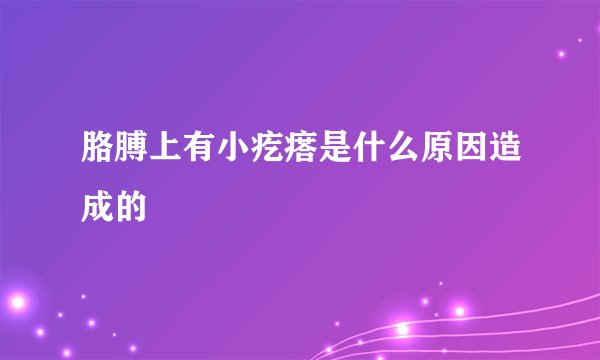胳膊上有小疙瘩是什么原因造成的