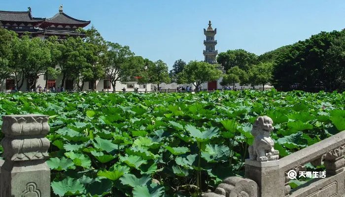 华东五市旅游攻略