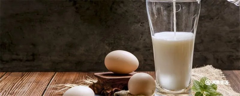 欧蕾是什么