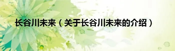 长谷川未来（关于长谷川未来的介绍）