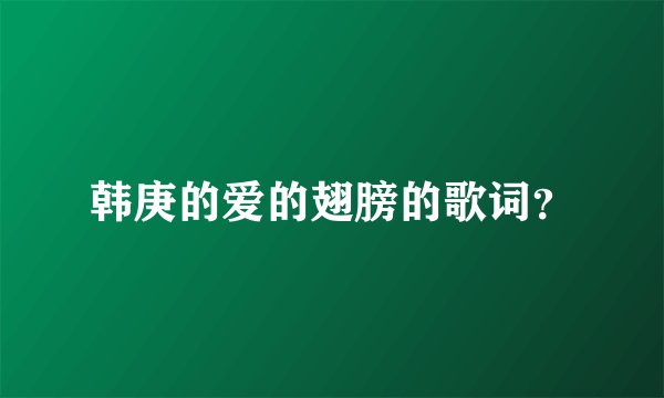 韩庚的爱的翅膀的歌词？