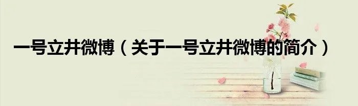 一号立井微博（关于一号立井微博的简介）