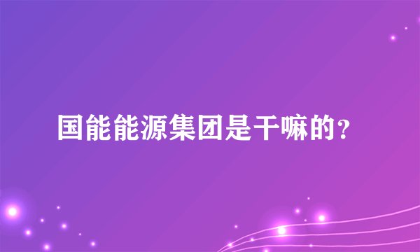 国能能源集团是干嘛的？