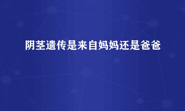 阴茎遗传是来自妈妈还是爸爸