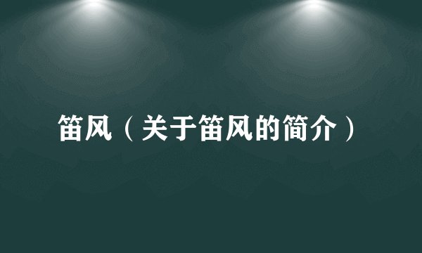 笛风（关于笛风的简介）