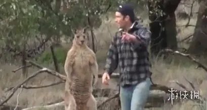 澳大利亚袋鼠是什么梗 澳大利亚人和袋鼠的梗