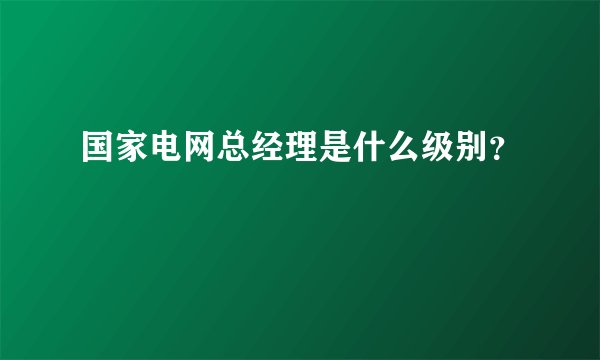 国家电网总经理是什么级别？