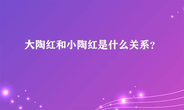 大陶红和小陶红是什么关系？