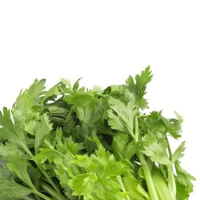 哪些食物相克