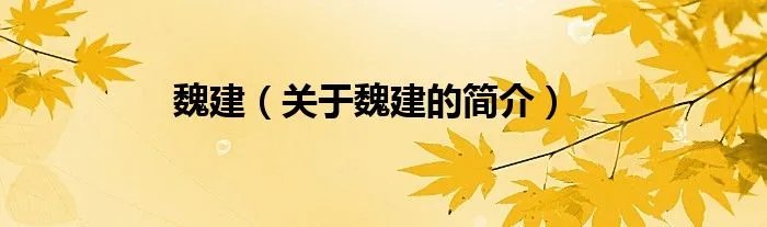 魏建（关于魏建的简介）