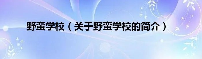 野蛮学校（关于野蛮学校的简介）