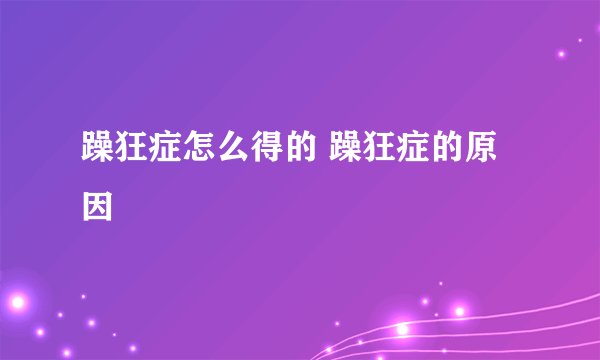 躁狂症怎么得的 躁狂症的原因