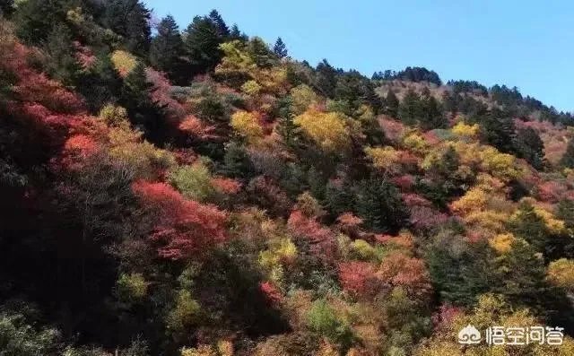 神农架好玩吗?