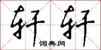 轩轩