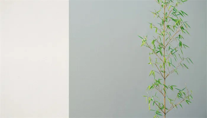 恬淡是什么意思 恬淡是什么意思呢
