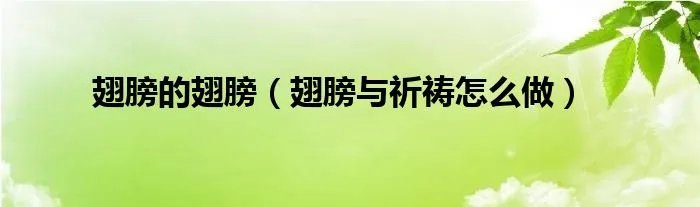 翅膀的翅膀（翅膀与祈祷怎么做）