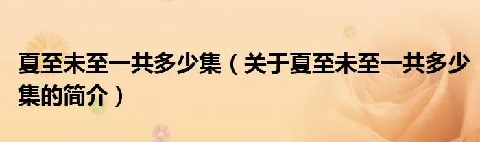 夏至未至一共多少集（关于夏至未至一共多少集的简介）
