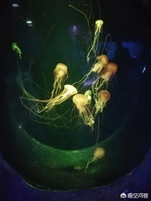 威海好玩吗