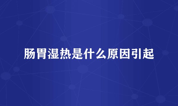 肠胃湿热是什么原因引起