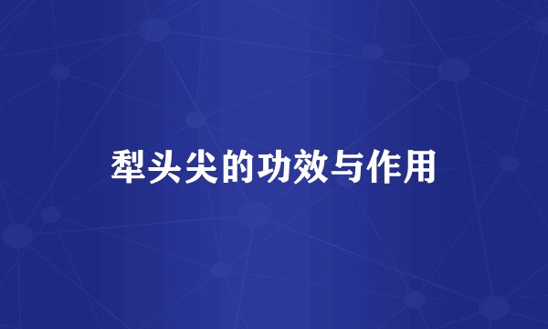 犁头尖的功效与作用