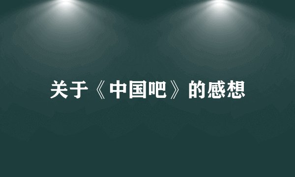 关于《中国吧》的感想